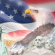 Illustration for article titled The Onions Live Coverage Of Election Day 2012